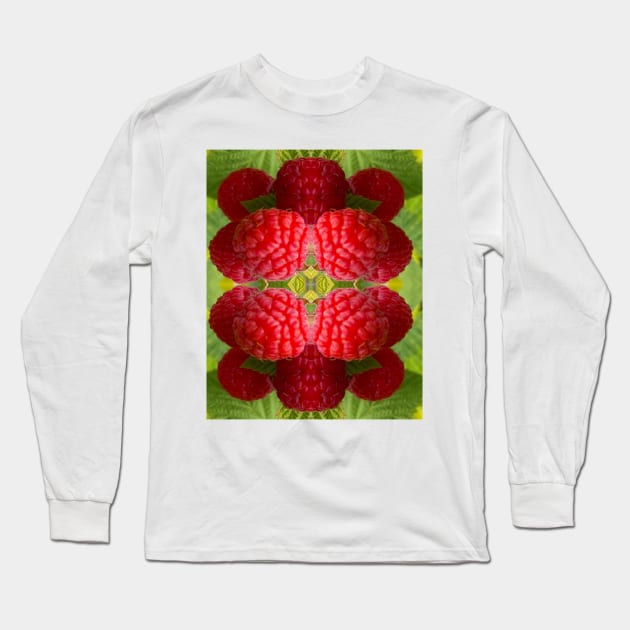 Big Red Raspberries Long Sleeve T-Shirt by Amanda1775